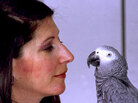 Irene Pepperberg and Alex the Parrot Irene Pepperberg and Alex the Parrot