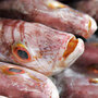 Fish For Sale Fish For Sale