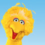 40th anniversary cast of 'Sesame Street' 40th anniversary cast of 'Sesame Street'