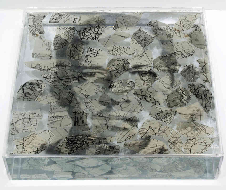 'Narcissi in process' by Oscar Munoz