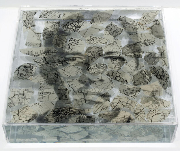 'Narcissi in process' by Oscar Munoz