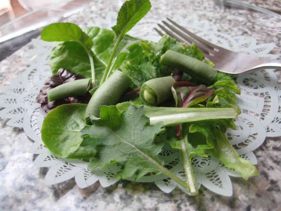 Salad from Britta Riley's window farm.