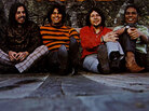 Louie and the Lovers: Cover Detail (Rise) Louie and the Lovers: Cover Detail (Rise)