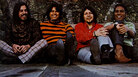 Louie and the Lovers: Cover Detail (Rise) Louie and the Lovers: Cover Detail (Rise)