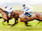 Horse race
