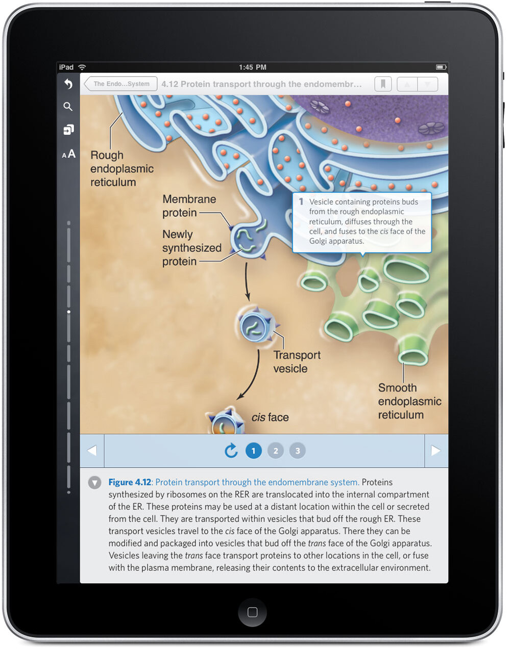 iPad screenshot