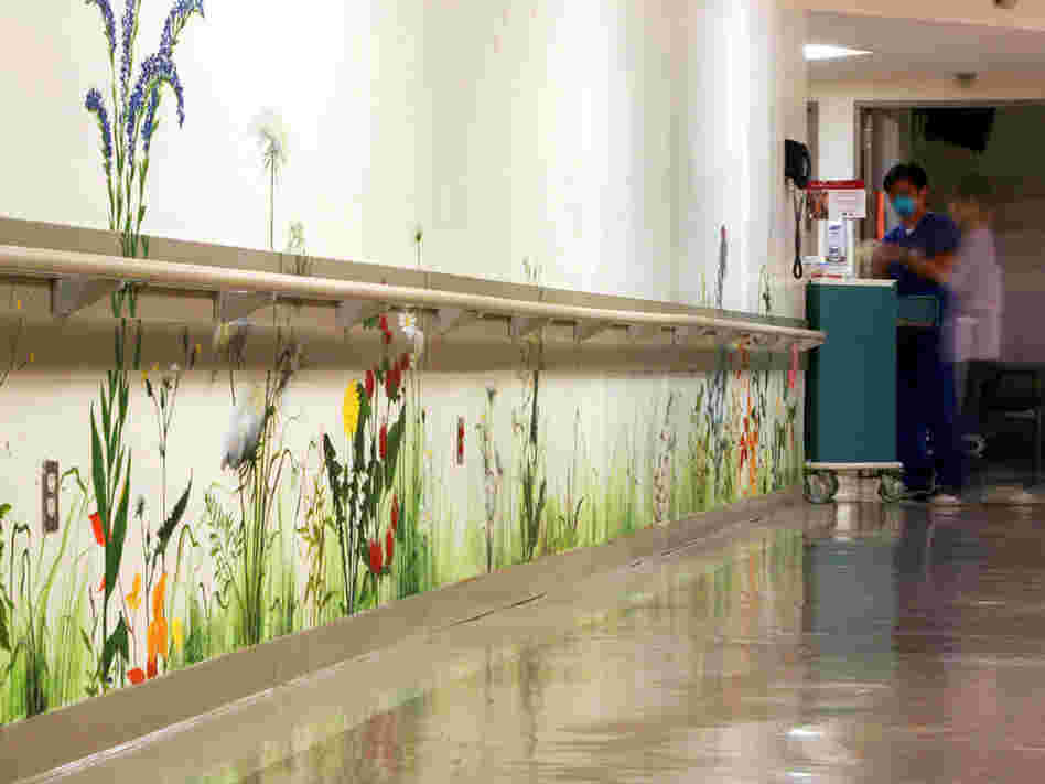 Mount Sinai Hospital Hallway