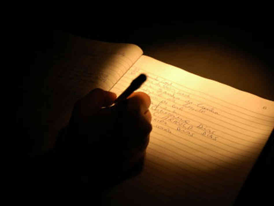 Ghostwriter image main Ghostwriter image main