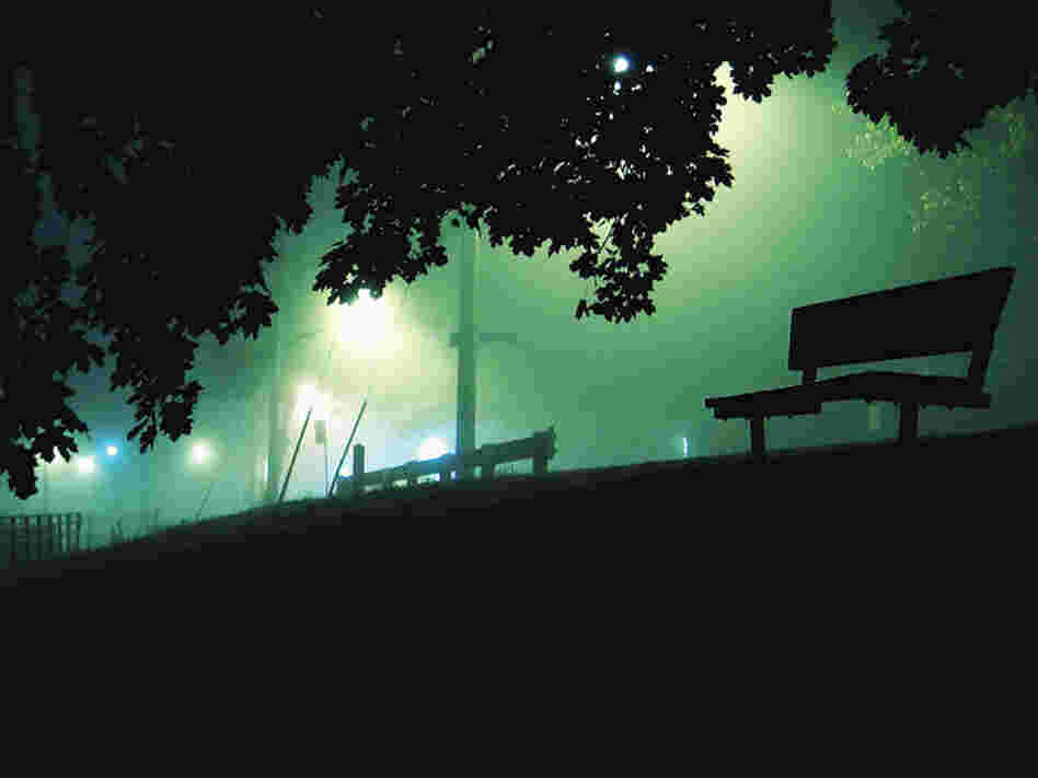 'The Way Home' primary 'The Way Home' primary