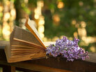 Book and flower Book and flower