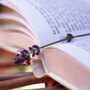 Looking to cozy up with some good books? Librarian Nancy Pearl has some great suggestions.