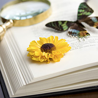 Science Books