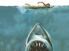 'Jaws' book cover detail 'Jaws' book cover detail