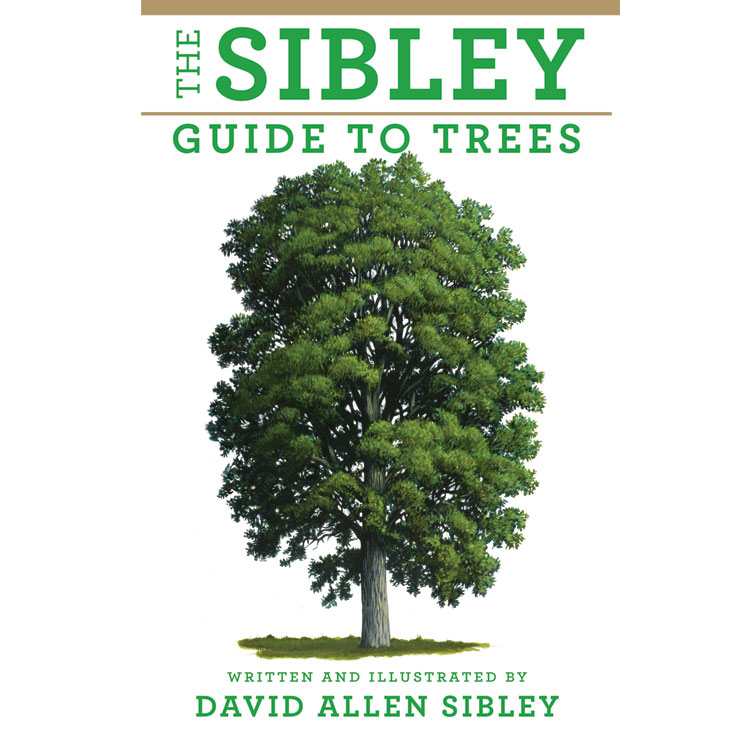 'The Sibley Guide to Trees'