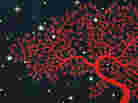 'Becoming Americans' Cover Detail 'Becoming Americans' Cover Detail