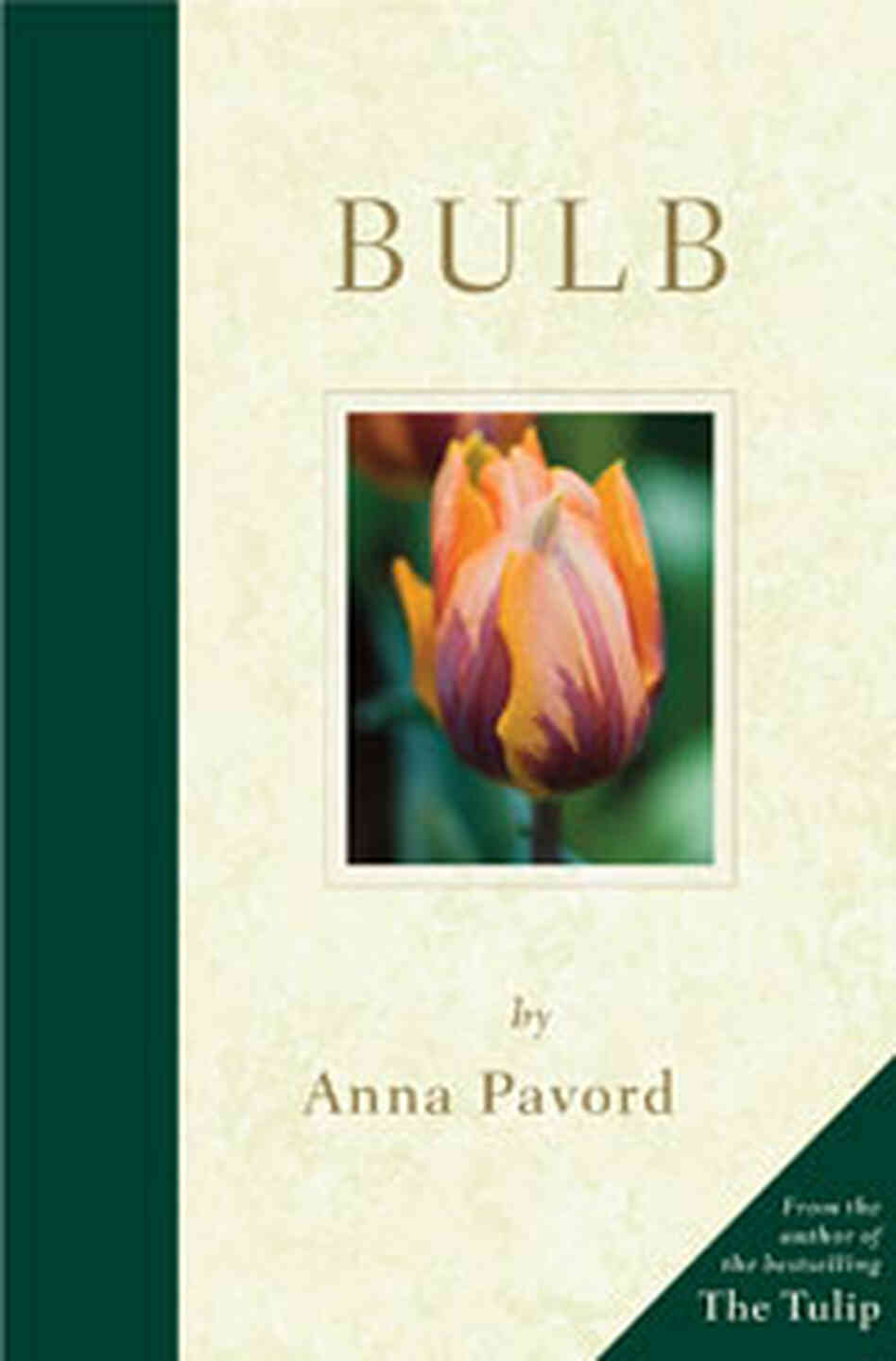 'Bulb' Book Cover 'Bulb' Book Cover