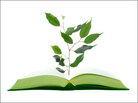 Illustration of a tree growing from a book. Illustration of a tree growing from a book.