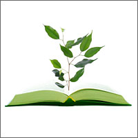 Illustration of a tree growing from a book.