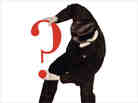 PND: 'The Interrogative Mood: A Novel' by Padget Powell