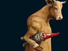 PND: 'Going Bovine' by Libba Bray PND: 'Going Bovine' by Libba Bray