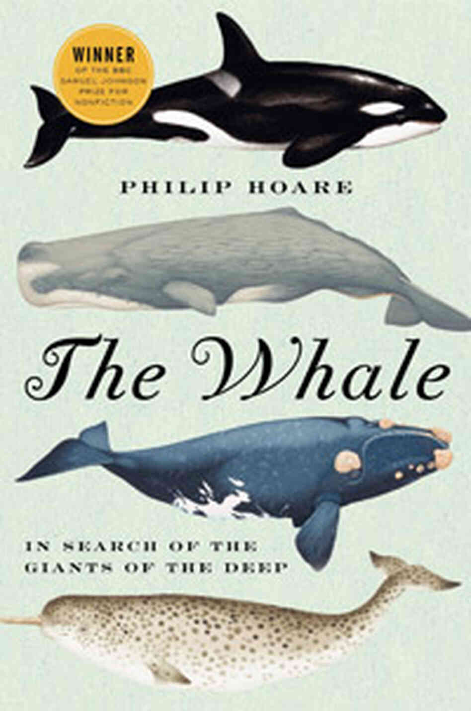 'The Whale' 'The Whale'
