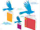 summer books