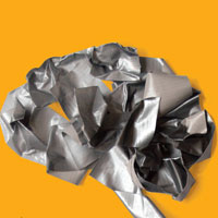 The Male Brain