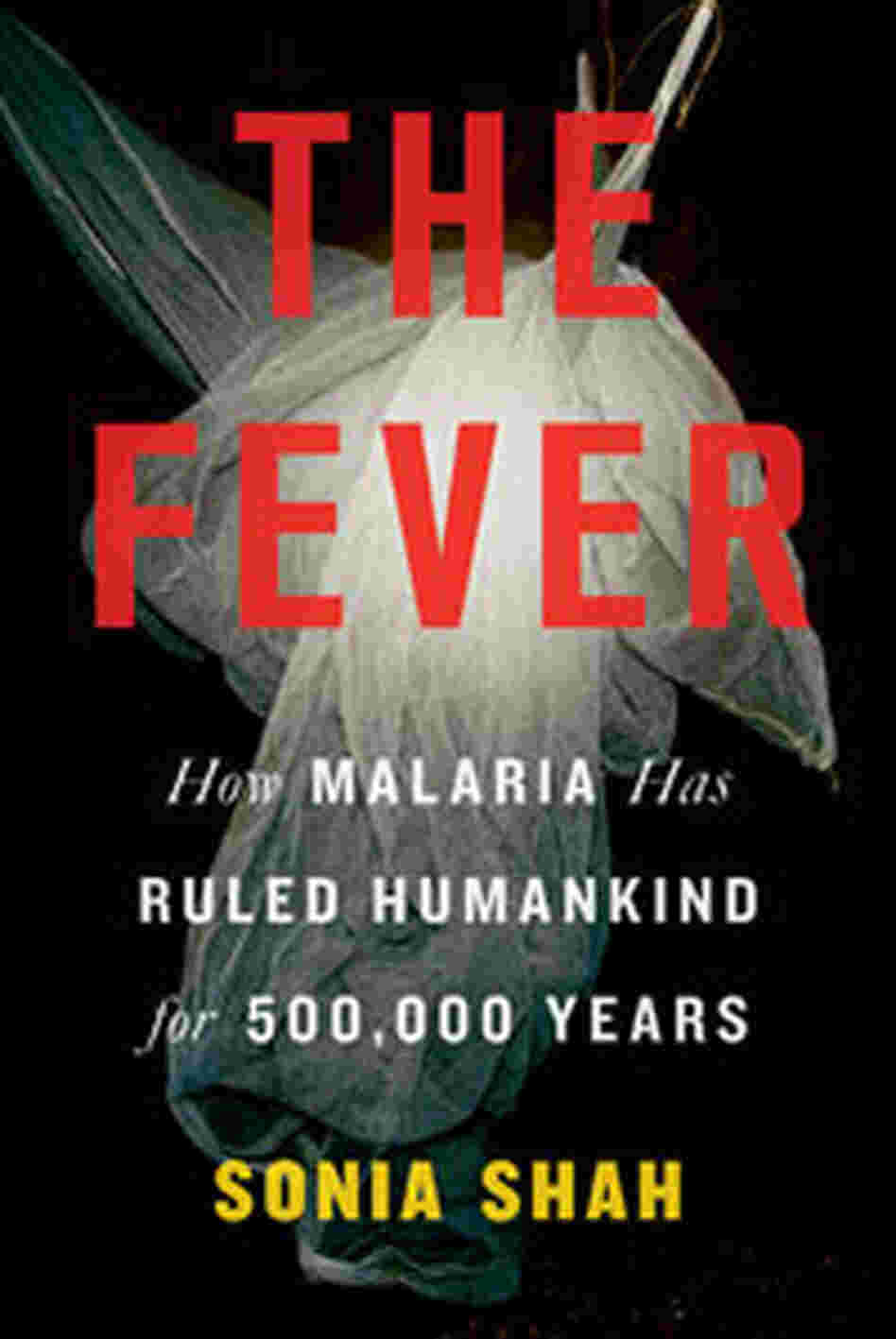 The Fever The Fever