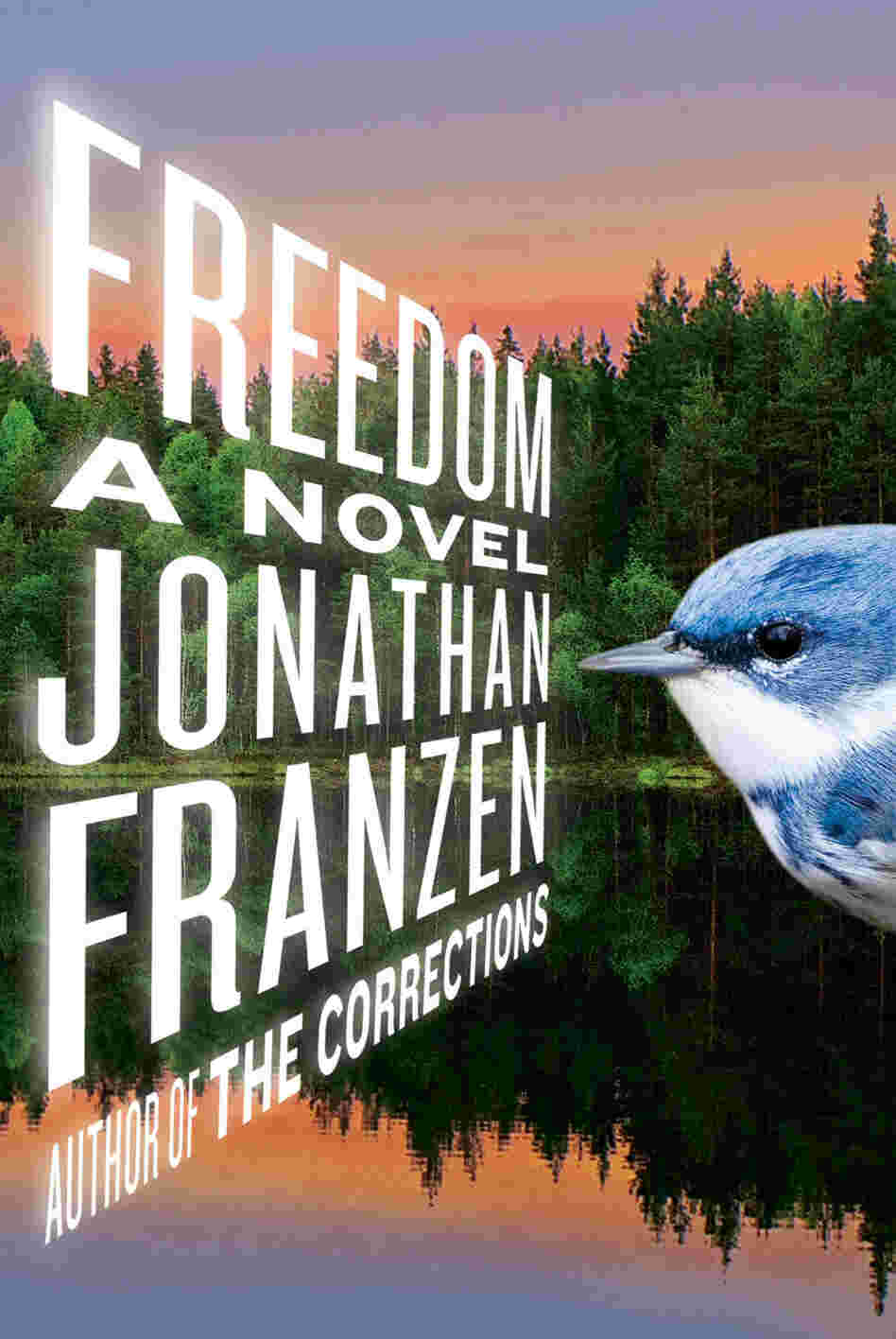 Freedom Freedom