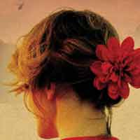 The Lotus Eaters