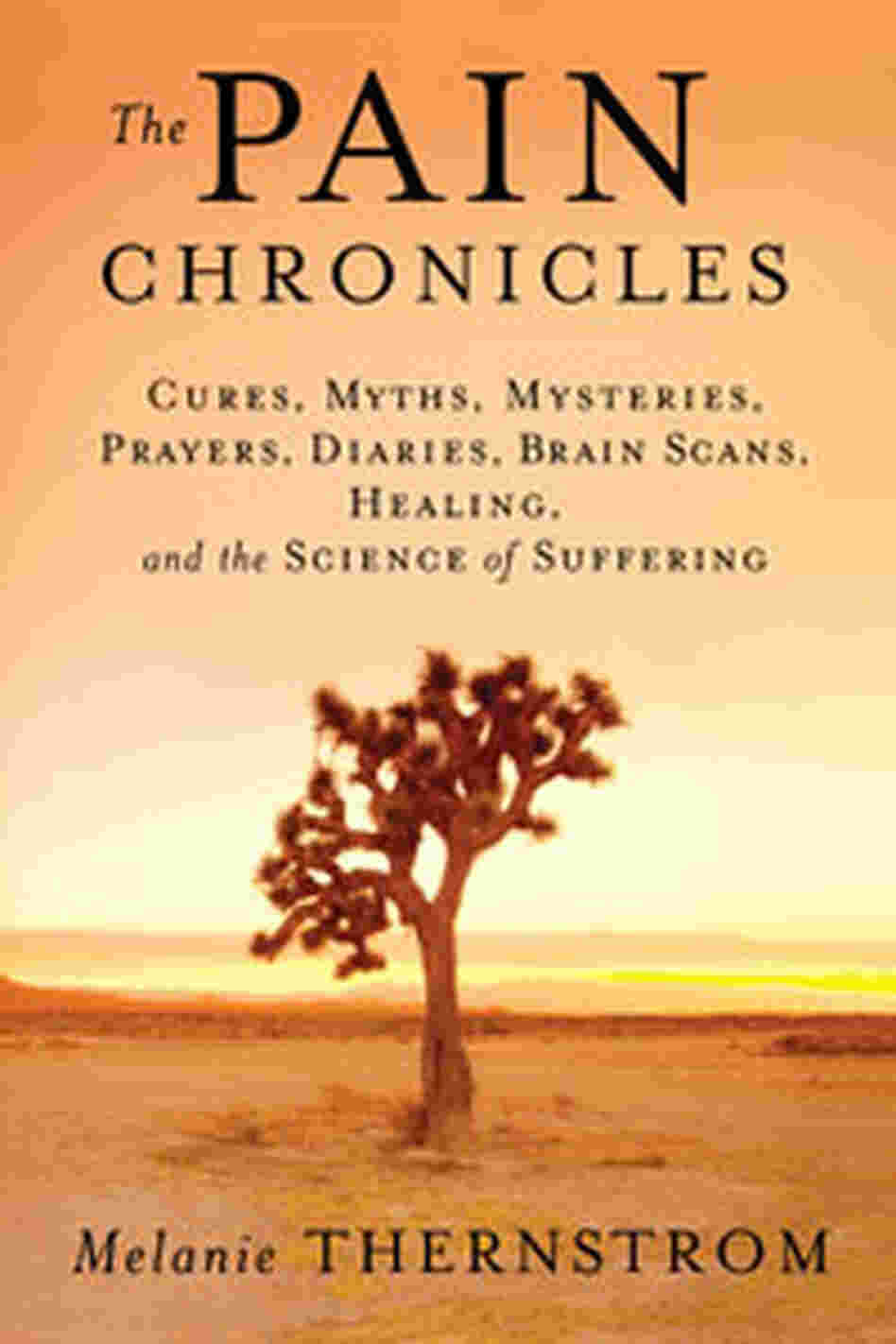 Cover of 'The Pain Chronicles' Cover of 'The Pain Chronicles'