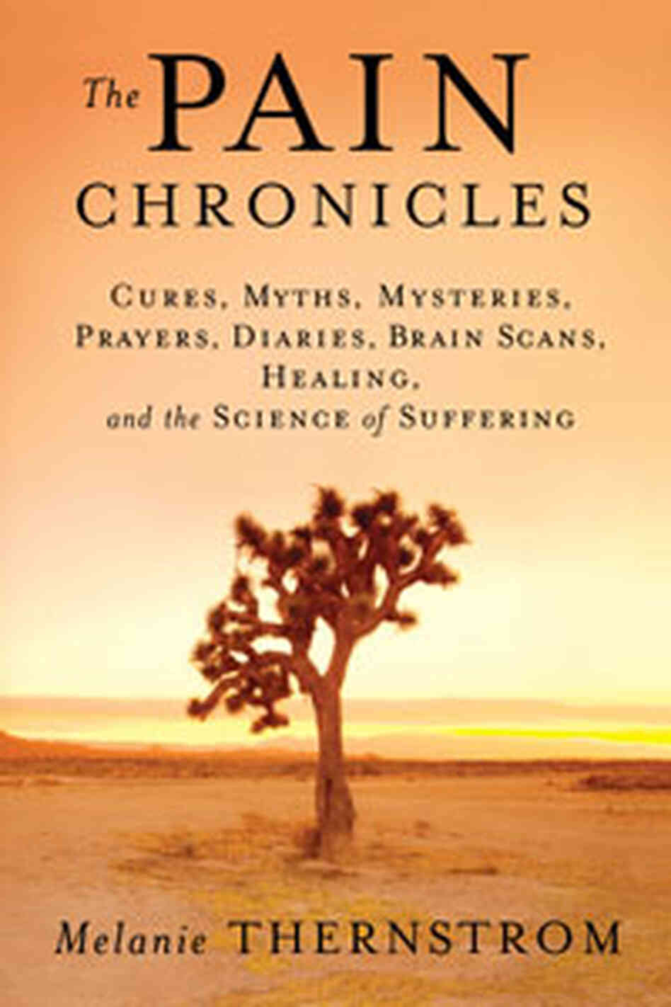 Cover of 'The Pain Chronicles' Cover of 'The Pain Chronicles'