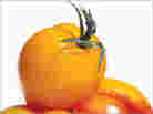 Cover of 'Ripe' Cover of 'Ripe'
