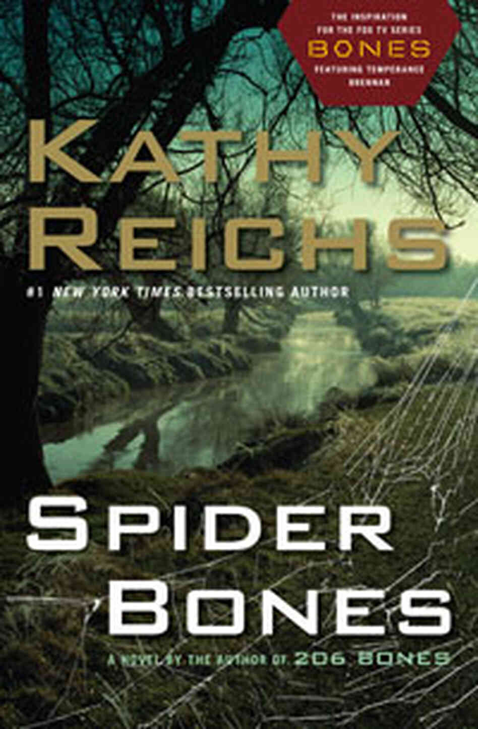 Cover of 'Spider Bones' Cover of 'Spider Bones'