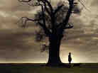 Man in the Woods: Cover Detail