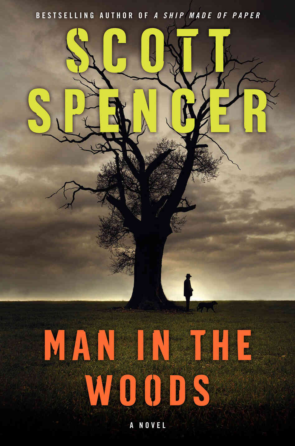 Man in the Woods: Cover Detail Man in the Woods: Cover Detail