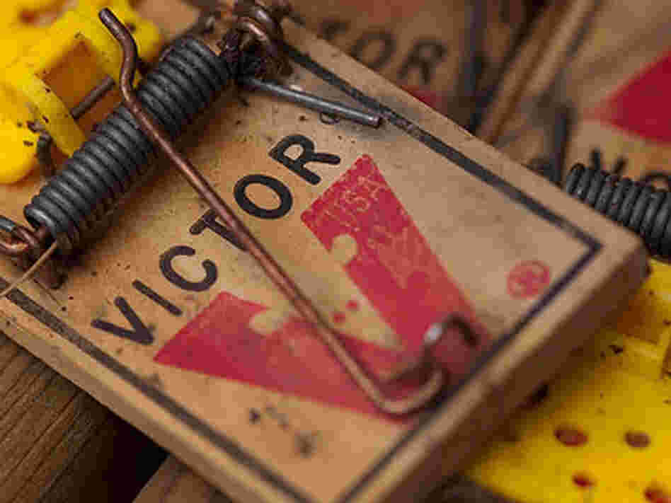 Mousetrap Mousetrap