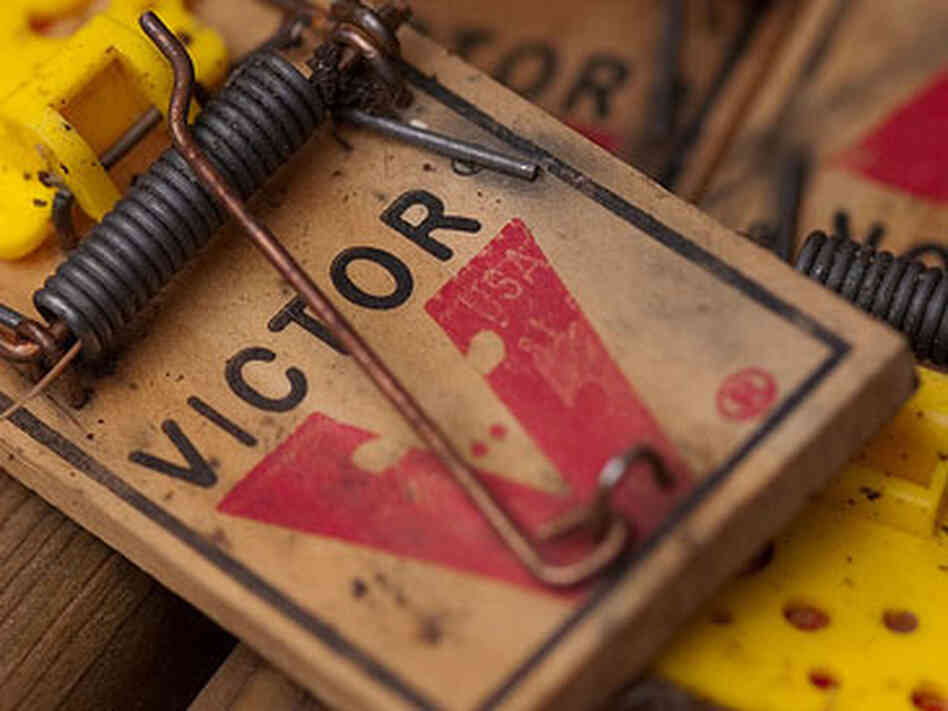 Mousetrap Mousetrap