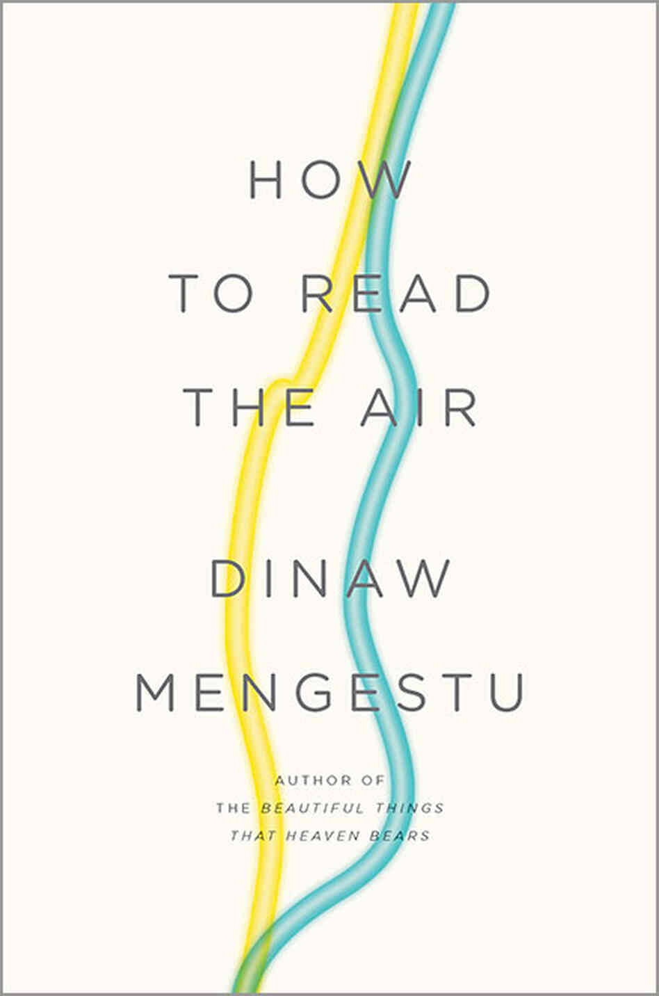 'How To Read The Air' 'How To Read The Air'