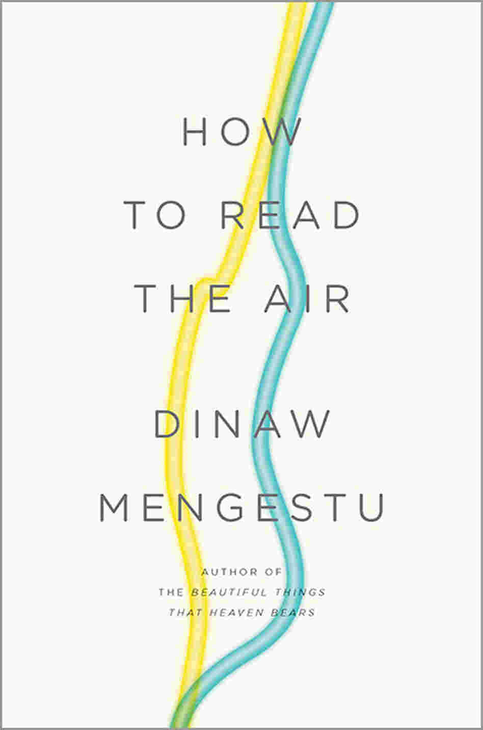 'How To Read The Air' 'How To Read The Air'