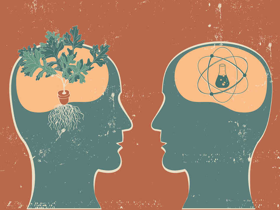 Illustration of brains