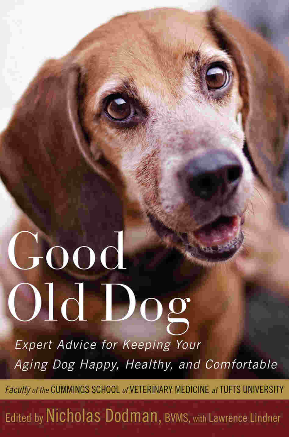 Good Old Dog Good Old Dog