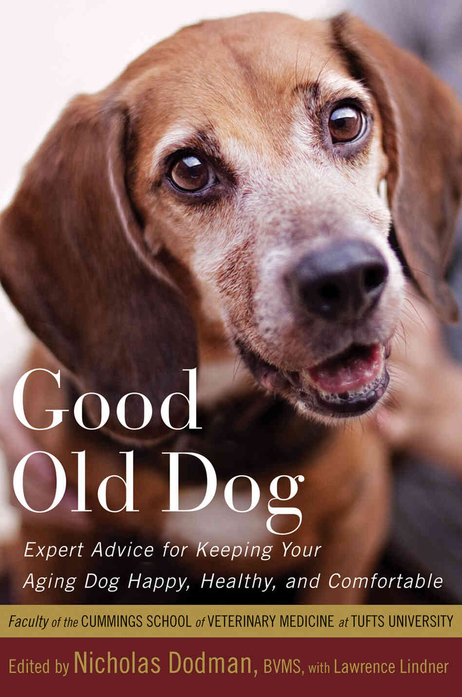 Good Old Dog Good Old Dog