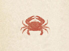 The Emperor of All Maladies The Emperor of All Maladies