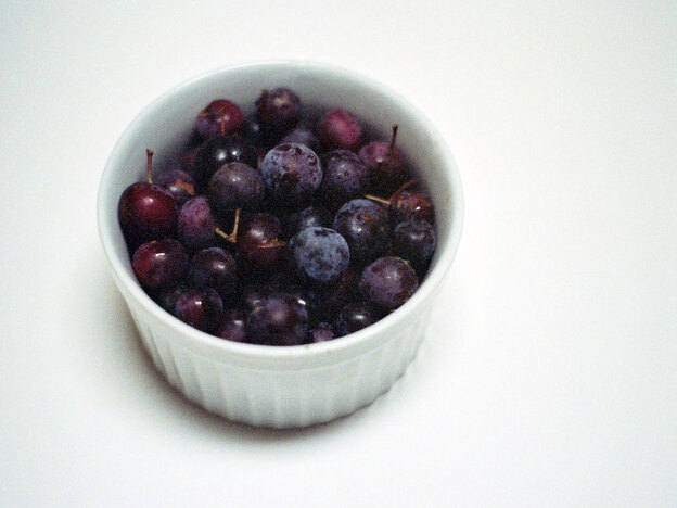 Beach plums in a white ramekin