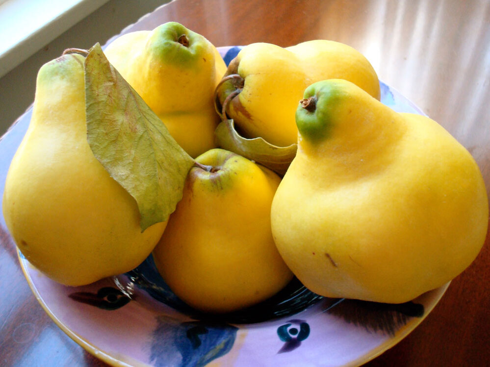 Quinces