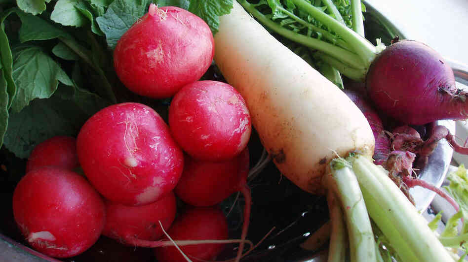 A bowl full of red, white and purple radishes