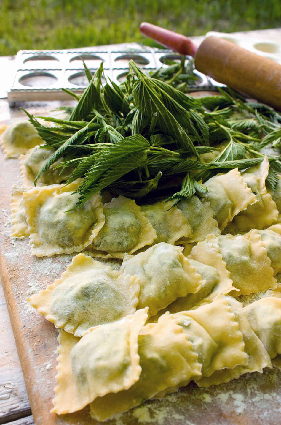 Stinging Nettle Ravioli Stinging Nettle Ravioli