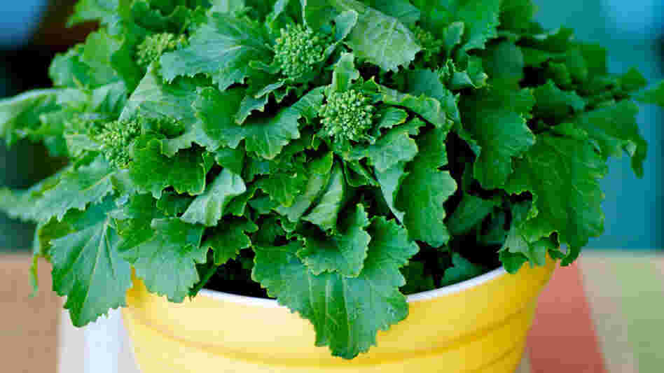 A bunch of broccoli rabe sits in a yellow bowl