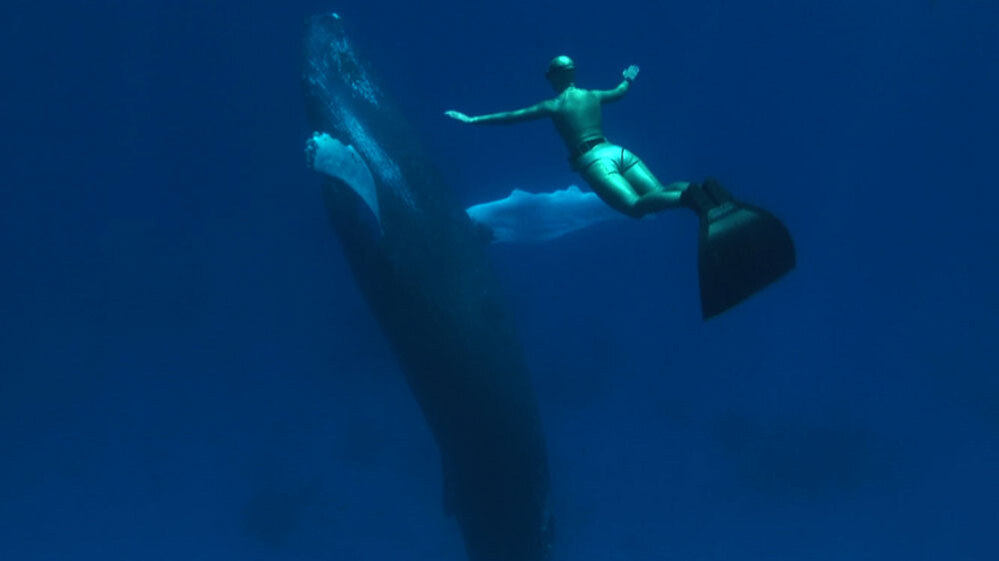 WIDE: Mandy-Rae Cruikshank in 'The Cove'